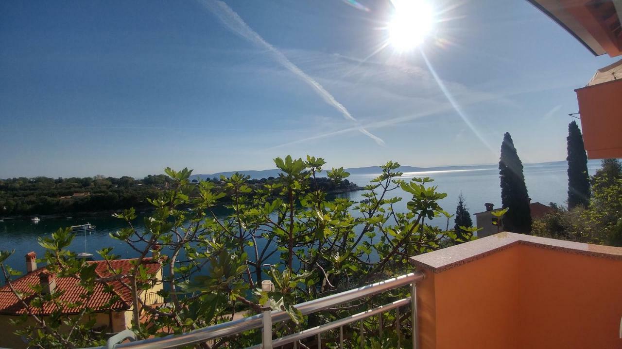 Alex Apartman Drenje  Kültér fotó